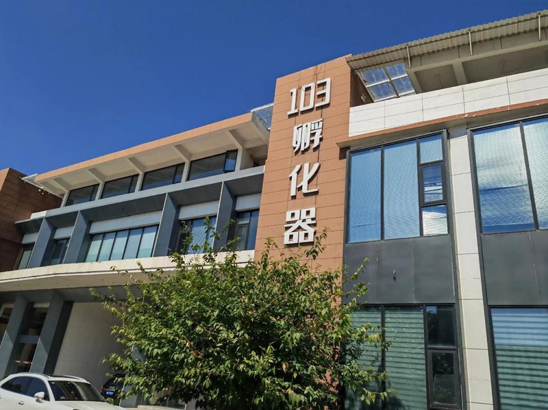 海口科技公司的创新密码：高效团队与前沿技术的双重驱动